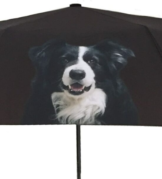 Border Collie Dog Print Umbrella