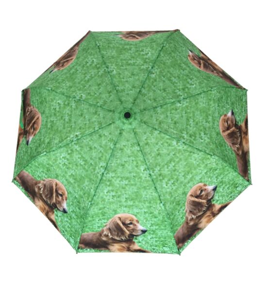 Cocker Spaniel Dog Print Umbrella from DoggyBrolly