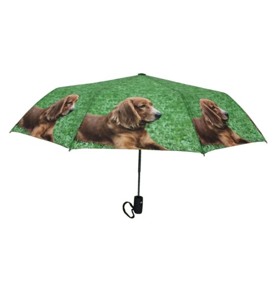 Cocker Spaniel Dog Print Umbrella from DoggyBrolly