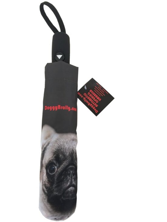 Pug Dog Print Umbrella from Doggybrolly
