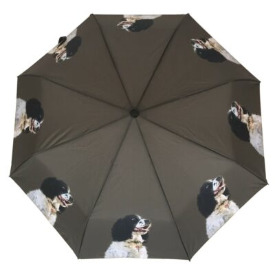 Springer Spaniel Dog Print Umbrella from DoggyBrolly