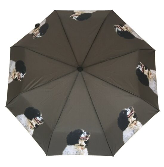 Springer Spaniel Dog Print Umbrella from DoggyBrolly