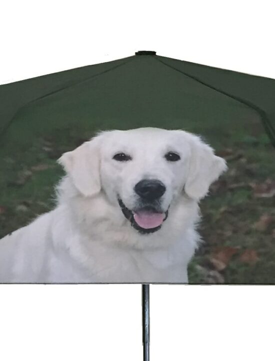 Golden Retriever Dog Print Umbrella from DoggyBrolly
