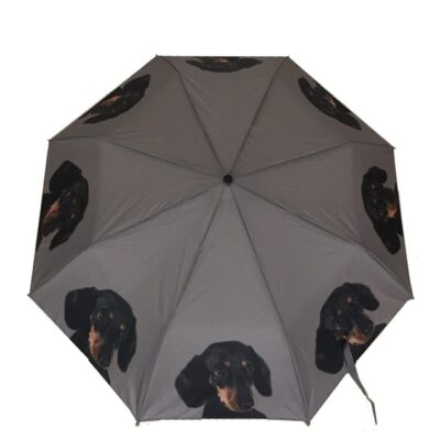 Dachshund Dog Print Umbrella