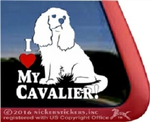 I love My Cavalier – Decal Car Window Sticker