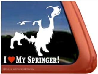 I love My Springer – Decal Car Window Sticker