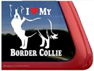 I love My Border Collie – Decal Car Window Sticker