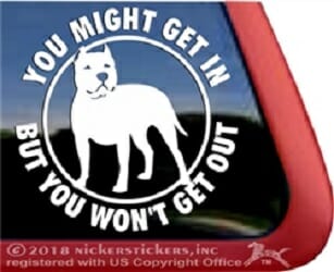 You might Get In Staffy – Decal Car Window Sticker