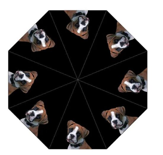 Boxer Dog Print Umbrella from DoggyBrolly.com