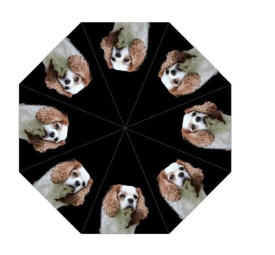 King Charles Spaniel Dog Print Umbrella from DoggyBrolly