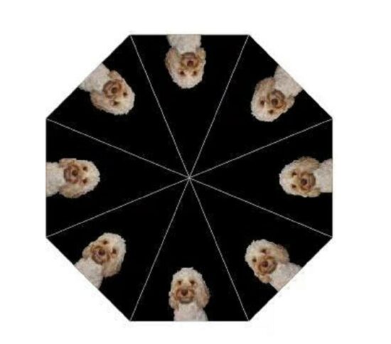 Cockapoo Dog Print Umbrella from DoggyBrolly.Com