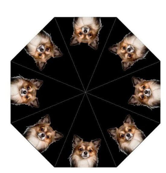 Chihuahua Dog Print Umbrella from DoggyBrolly.com