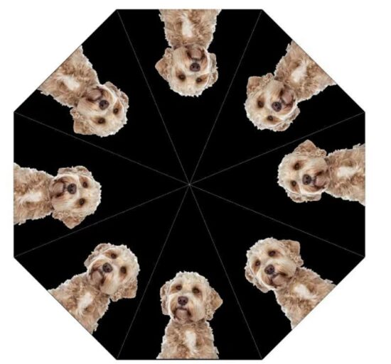 Labradoodle Dog Print Umbrella from DoggyBrolly.com