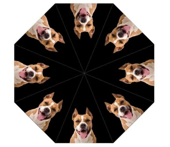 Staffordshire Terrier Dog Print Umbrella from DoggyBrolly.com