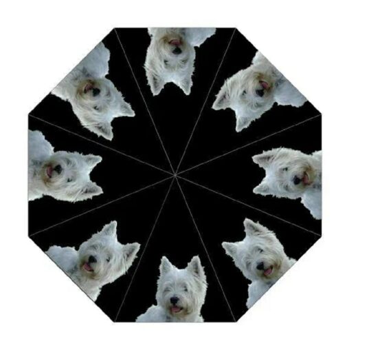 West Highland Terrier Dog Print Umbrella from DoggyBrolly.com