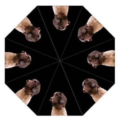 Liver Springer Spaniel Dog Print Umbrella from DoggyBrolly.com