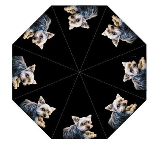 Yorkshire Terrier Dog Print Umbrella from DoggyBrolly.com