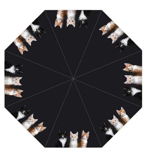 Kittens – Pussy Cat Print Umbrella from DoggyBrolly.com